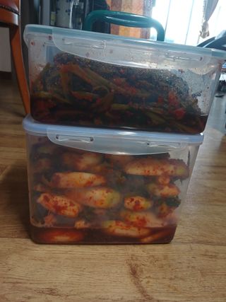 이상애초보농업님의 자유주제 · 자유게시판 작성글 사진