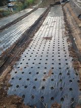 팜모닝 양파·영농일지 게시글 이미지