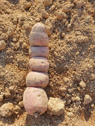 억수농장님의 작성글 사진