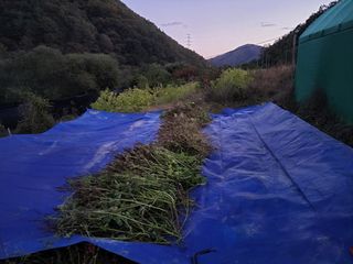 이정희님의 [팜춘문예] 짧은 시 쓰기 · 참여글 작성글 사진