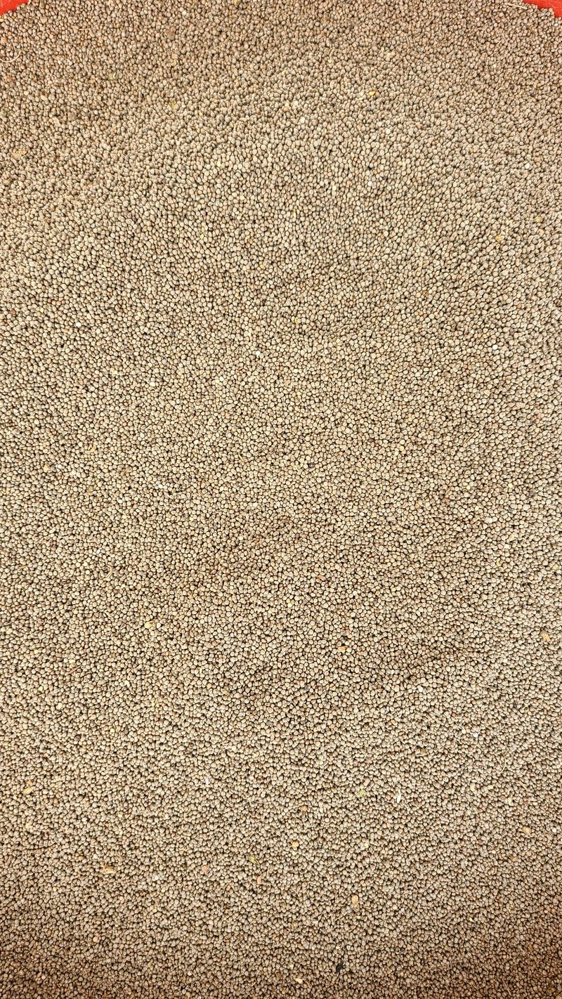 장터 상품 [23년 햇 들깨 1키로] 썸네일