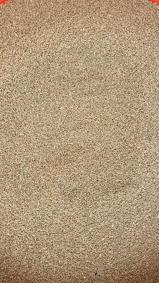 평창산들농장님의 작성글 사진