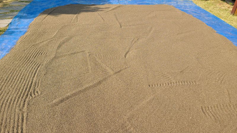 평창산들농장님의 장터 판매 상품 [23년 햇 들깨 1키로] 첨부 사진