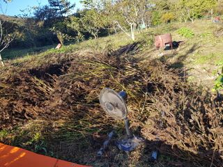 정석구님의 자유주제 · 자유게시판 작성글 사진