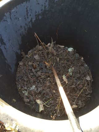 정석구님의 자유주제 · 자유게시판 작성글 사진