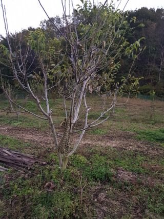 정석구님의 자유주제 · 자유게시판 작성글 사진