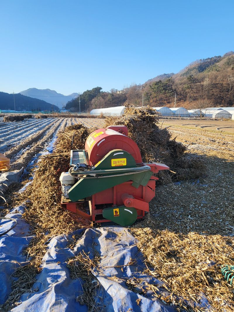 장터 상품 [평창들깨] 썸네일