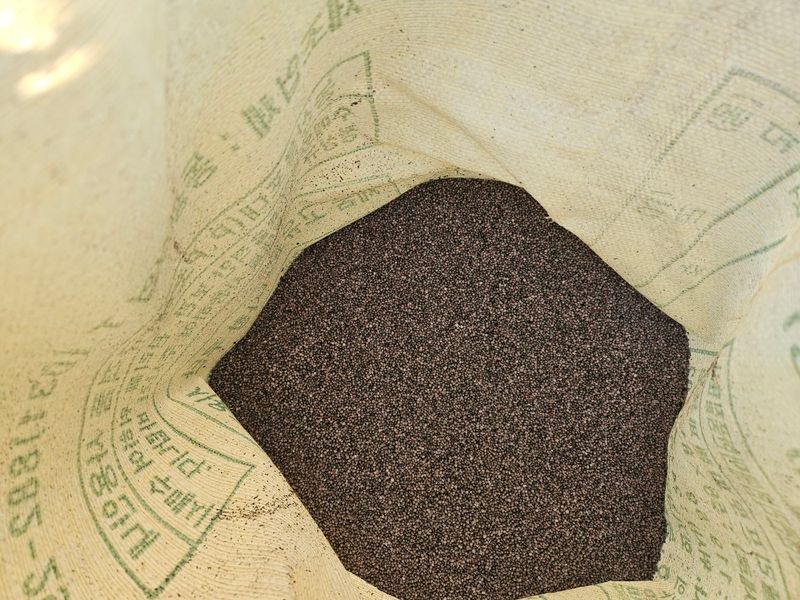 송경희님의 장터 판매 상품 [들깨] 첨부 사진