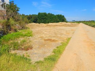 이미옥님의 벼 · 영농일지 작성글 사진