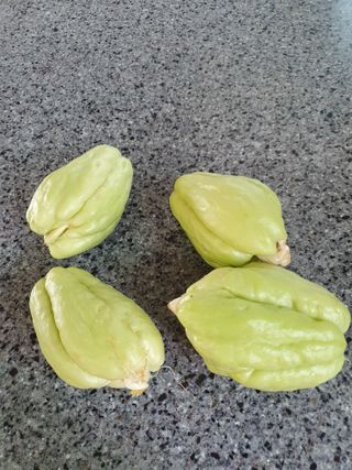 알 수 없음님의 자유주제 · 자유게시판 작성글 사진