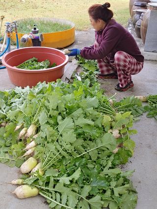 달맛햇복숭아농원님의 자유주제 · 자유게시판 작성글 사진