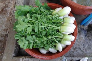 달맛햇복숭아농원님의 자유주제 · 자유게시판 작성글 사진