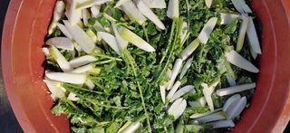 달맛햇복숭아농원님의 자유주제 · 자유게시판 작성글 사진