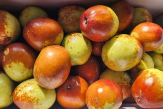 홍촌님의 [팜춘문예] 짧은 시 쓰기 · 참여글 작성글 사진