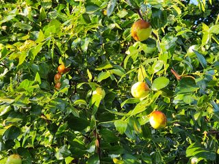 홍촌님의 [팜춘문예] 짧은 시 쓰기 · 참여글 작성글 사진