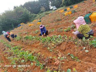 농촌의지킴님의 [팜춘문예] 짧은 시 쓰기 · 참여글 작성글 사진