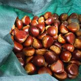 팜모닝 [팜춘문예] 짧은 시 쓰기·참여글 게시글 이미지