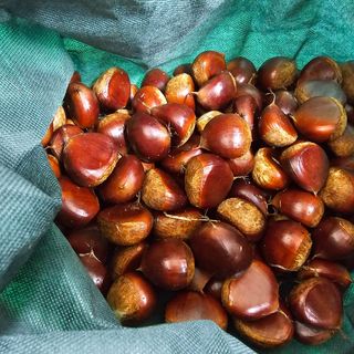 김기호님의 [팜춘문예] 짧은 시 쓰기 · 참여글 작성글 사진