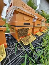 팜모닝 [팜춘문예] 짧은 시 쓰기·참여글 게시글 이미지