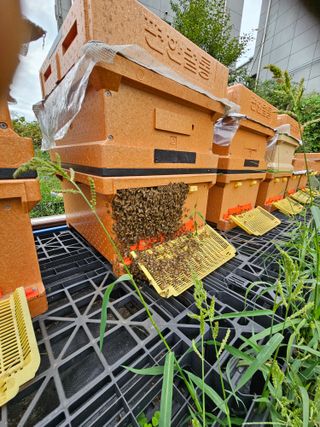 춘천바람개비님의 [팜춘문예] 짧은 시 쓰기 · 참여글 작성글 사진