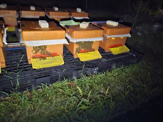 춘천바람개비님의 [팜춘문예] 짧은 시 쓰기 · 참여글 작성글 사진