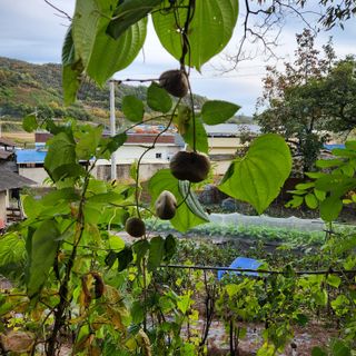 권영동 님의 [팜춘문예] 짧은 시 쓰기 · 참여글 작성글 사진