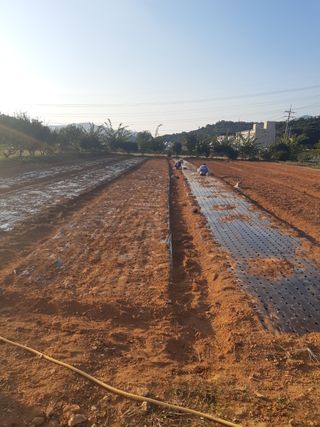 마늘6843님의 자유주제 · 자유게시판 작성글 사진