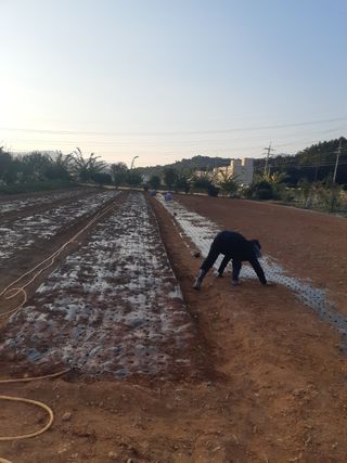 마늘6843님의 자유주제 · 자유게시판 작성글 사진