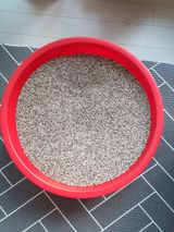 팜모닝 [팜춘문예] 짧은 시 쓰기·참여글 게시글 이미지