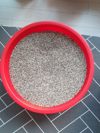 권영동 님의 [팜춘문예] 짧은 시 쓰기 · 참여글 작성글 사진