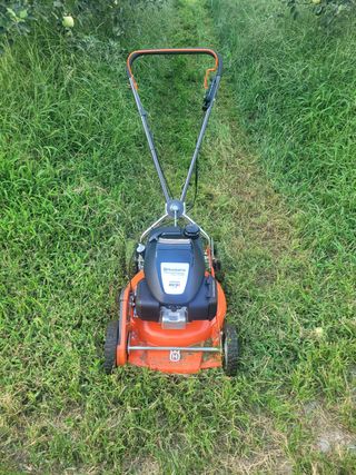 심영진님의 사과 · 영농일지 작성글 사진