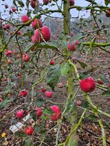 팜모닝 [팜춘문예] 짧은 시 쓰기·참여글 게시글 이미지