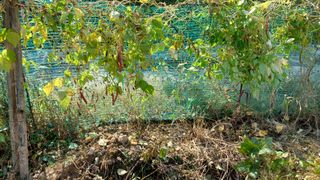 박진하님의 [팜춘문예] 짧은 시 쓰기 · 참여글 작성글 사진