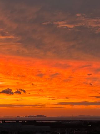 최원석님의 [팜춘문예] 짧은 시 쓰기 · 참여글 작성글 사진