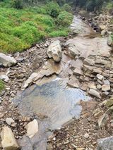 팜모닝 [팜춘문예] 짧은 시 쓰기·참여글 게시글 이미지