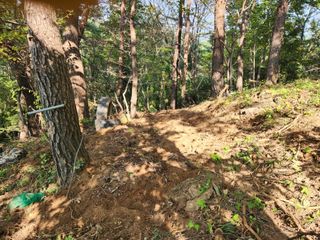 김재환-전남광양님의 기타작물 · 자유게시판 작성글 사진