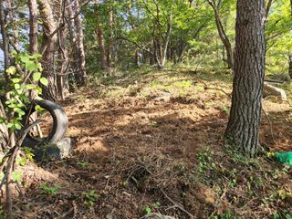 김재환-전남광양님의 기타작물 · 자유게시판 작성글 사진