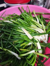 팜모닝 [팜춘문예] 짧은 시 쓰기·참여글 게시글 이미지