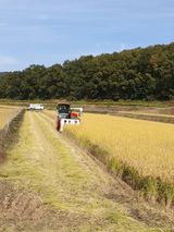 팜모닝 [팜춘문예] 짧은 시 쓰기·참여글 게시글 이미지