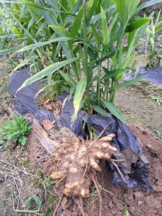 좋은인연님의 [팜춘문예] 짧은 시 쓰기 · 참여글 작성글 사진