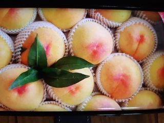 이명신님의 [팜춘문예] 짧은 시 쓰기 · 참여글 작성글 사진