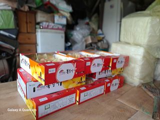 이명신님의 [팜춘문예] 짧은 시 쓰기 · 참여글 작성글 사진