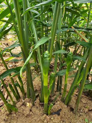 빠꼼이님의 자유주제 · 자유게시판 작성글 사진