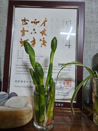 빠꼼이님의 자유주제 · 자유게시판 작성글 사진