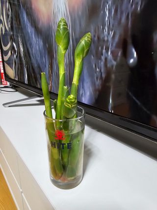 빠꼼이님의 자유주제 · 자유게시판 작성글 사진