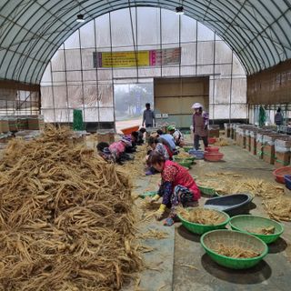 모두팜님의 [팜춘문예] 짧은 시 쓰기 · 참여글 작성글 사진