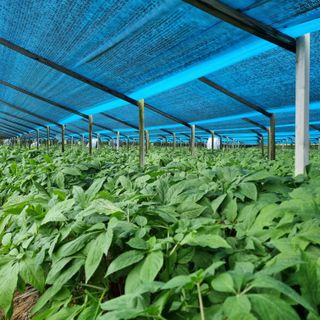 모두팜님의 [팜춘문예] 짧은 시 쓰기 · 참여글 작성글 사진