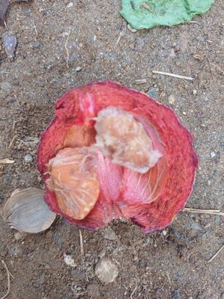 삼성농산님의 자유주제 · 자유게시판 작성글 사진