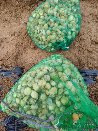 삼성농산님의 자유주제 · 자유게시판 작성글 사진