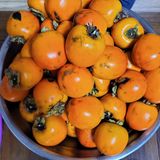 팜모닝 [팜춘문예] 짧은 시 쓰기·참여글 게시글 이미지